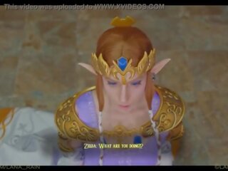 Prinsessa zelda meets hänen uusi kuningas