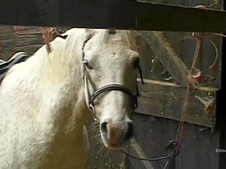 Vies wild x nominale film in een barn voor ondeugend boerderij meisjes