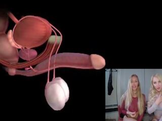 Mâle orgasme anatomy explained educational joi: gratuit xxx agrafe 85